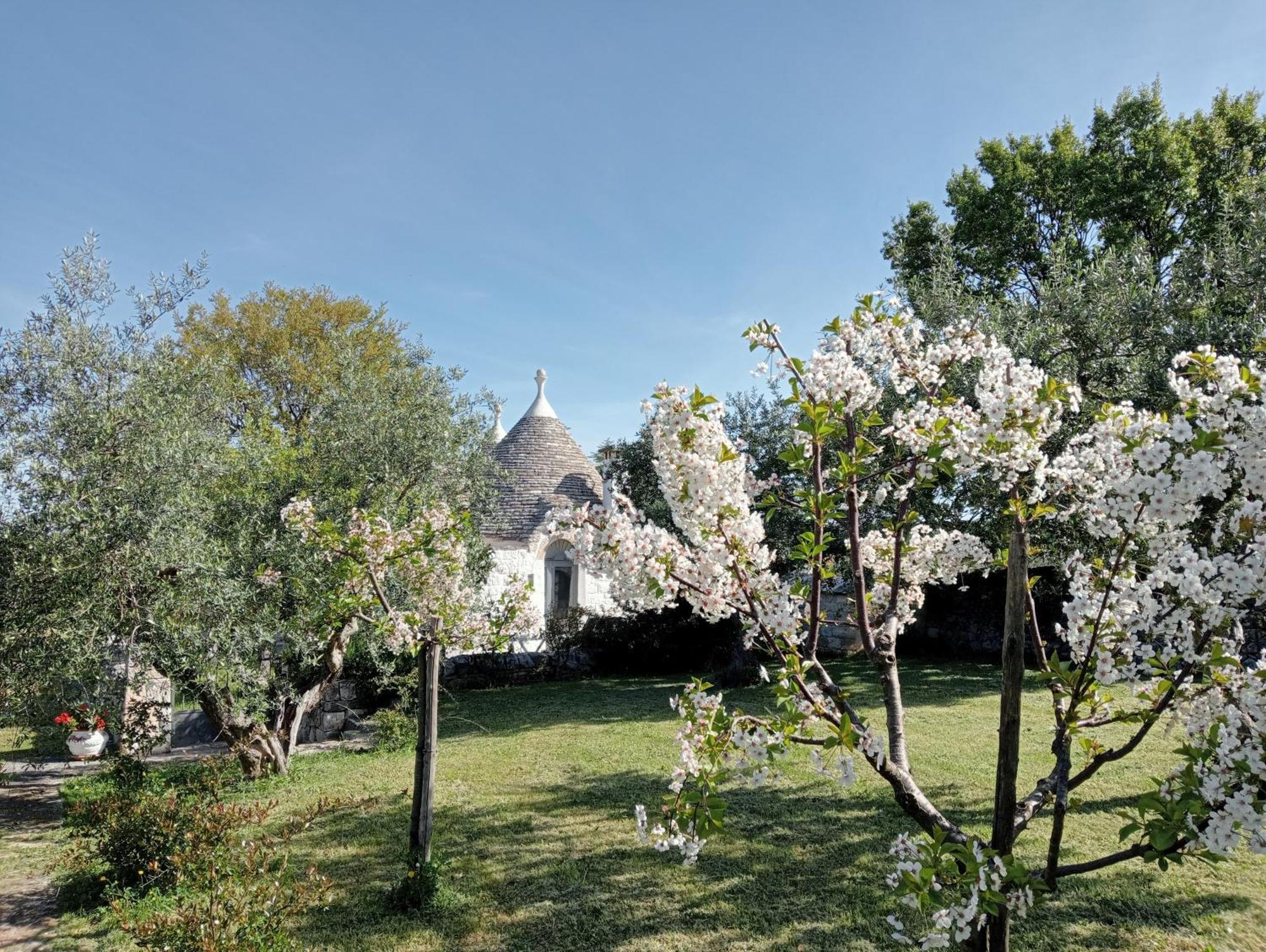 Trulli Manuela Villa Locorotondo Exterior photo